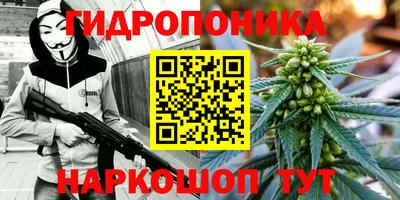 apvp Мариинск