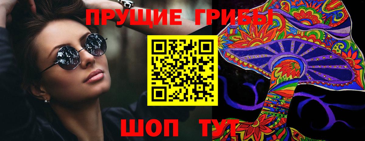Псилоцибиновые грибы мицелий Ивантеевка